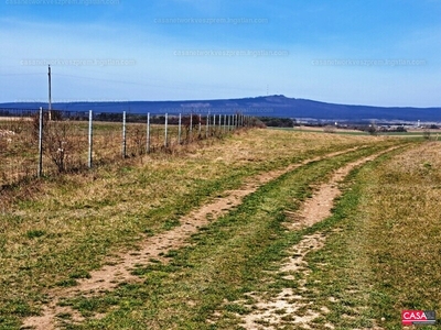 Eladó termőföld, szántó - Mencshely, Veszprém megye