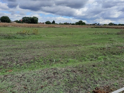 Eladó termőföld, szántó - Vecsés, Kispatak-lakópark