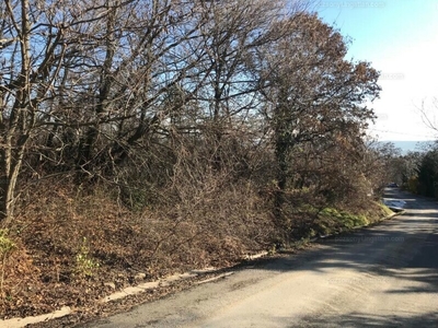 Eladó üdülőövezeti telek - Budaörs, Pest megye