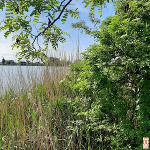 Eladó üdülőövezeti telek - Ráckeve, Somlyósziget