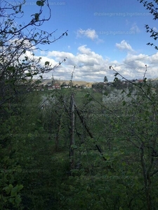 Eladó üdülőövezeti telek - Zalaegerszeg, Rövidjánka