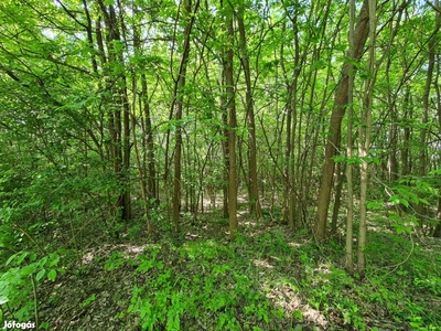 Győrszentivánon zártkerti telek eladó - Győr, Győr-Moson-Sopron - Telek, föld