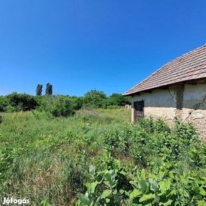 Pilis zártkerti részén Haleszi dűlőben 1911 m2 telek, 10 m2 épület - Pilis, Pest - Telek, föld