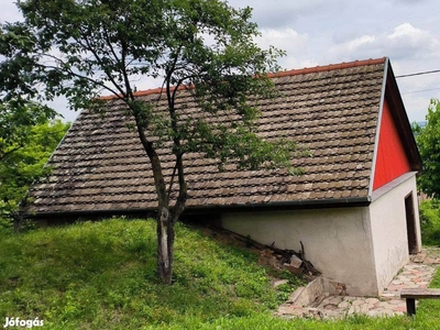 Szekszárd-Szőlőhegyen művelésre alkalmas területtel tanya eladó - Szekszárd, Tolna - Telek, föld