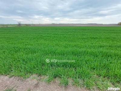 Eladó Mezőgazdasági, Pálmonostora - Pálmonostora, Bács-Kiskun - Termőföld