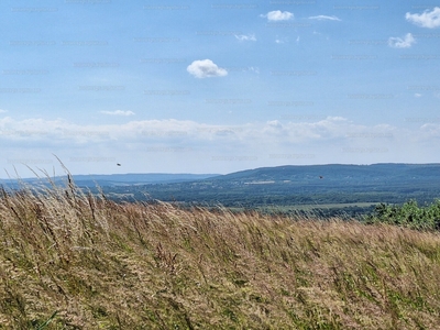 Eladó pince, présház - Várvölgy, Zala megye