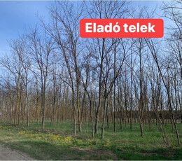 Eladó telek