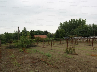 Eladó általános mezőgazdasági ingatlan - Szatymaz, Csongrád-Csanád megye