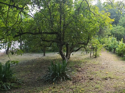 Eladó lakóövezeti telek - Bőny, Győr-Moson-Sopron megye