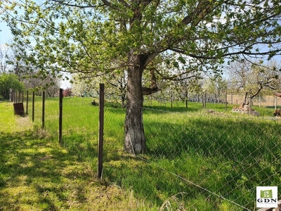 Eladó lakóövezeti telek - Maglód, Petőfi tér