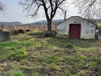 Eladó pince, présház - Lesenceistvánd, Veszprém megye