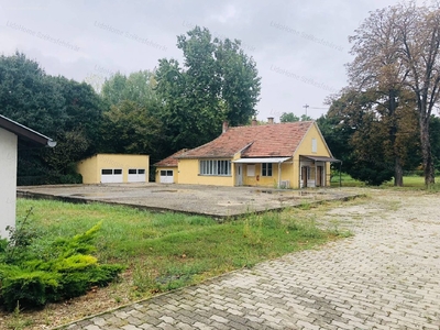 Polgárdi, ingatlan, üzleti ingatlan, 600 m2, 99.990.000 Ft