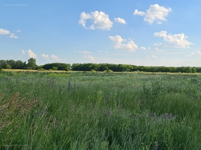 Vecsés, ingatlan, üzleti ingatlan, 462.000.000 Ft