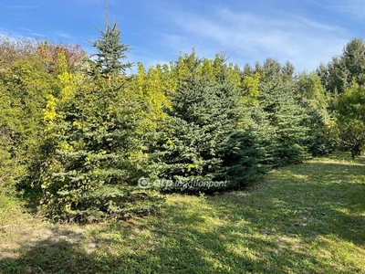 Gyula, ingatlan, mezőgazd. ingatlan, 2682 m2, 13.700.000 Ft