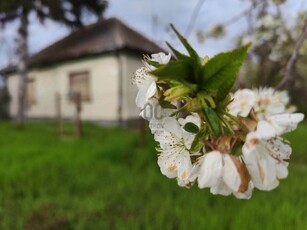 Eladó családi ház Ádánd