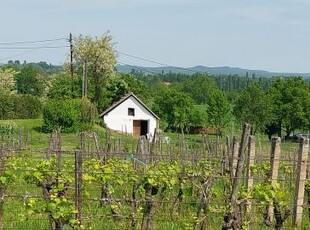 Eladó Ház, Veszprém megye Balatonederics