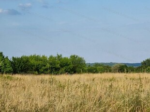 Eladó mezogazdasagi ingatlan Balatonalmádi