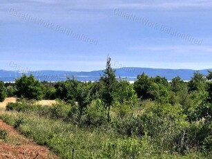 Eladó mezogazdasagi ingatlan Balatonudvari