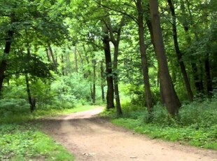 Eladó mezogazdasagi ingatlan Balatonudvari