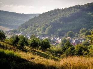 Eladó mezogazdasagi ingatlan Bekölce, Nincs utca