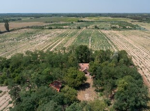 Eladó mezogazdasagi ingatlan Jakabszállás