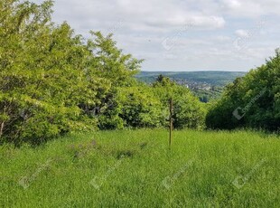 Eladó mezogazdasagi ingatlan Miskolc