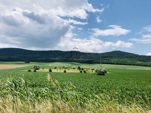 Eladó mezogazdasagi ingatlan Solymár