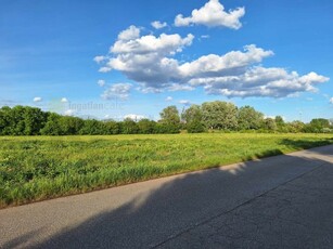 Eladó mezogazdasagi ingatlan Szeged