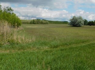 Eladó mezogazdasagi ingatlan Szeged, Külterület