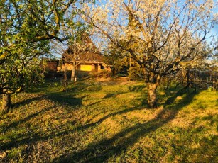 Eladó nyaraló Mogyoród, Rövid utca