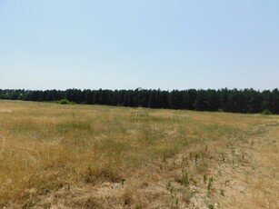 Eladó telek Balatonakali