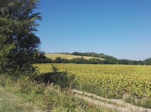 Eladó telek Bicske, Külterület