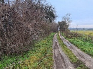 Eladó telek Halimba