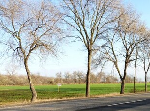 Eladó telek Kecskemét