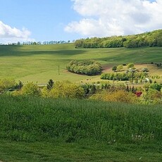 Eladó telek Lulla, Vadvirág utca