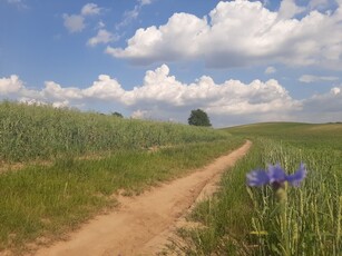 Eladó telek Pécel