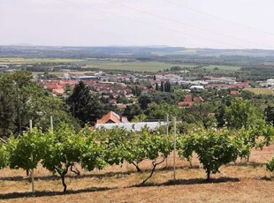 Eladó telek Pécs