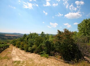 Eladó telek Pécsely