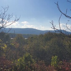 Eladó telek Verőce, Guruntyi dűlő