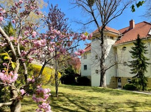 Kiadó téglalakás, albérlet Budapest, II. kerület, Szemlőhegy, földszint