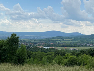 Szentendre, Barackos