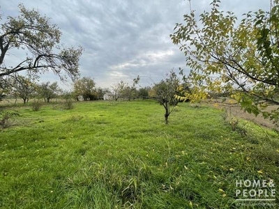 Makó, ingatlan, mezőgazd. ingatlan, 1077 m2, 1.100.000 Ft