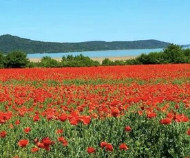 Eladó telek - Balatonudvari