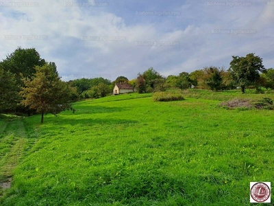 Eladó általános mezőgazdasági ingatlan - Zalacsány, Zala megye