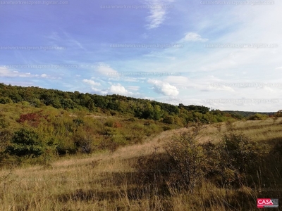 Eladó erdő - Balatonalmádi, Veszprém megye