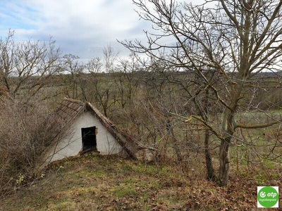 Eladó külterületi telek - Szabadhídvég, Külterület