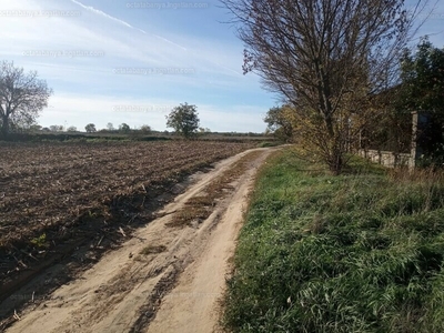 Eladó lakóövezeti telek - Bokod, Komárom-Esztergom megye