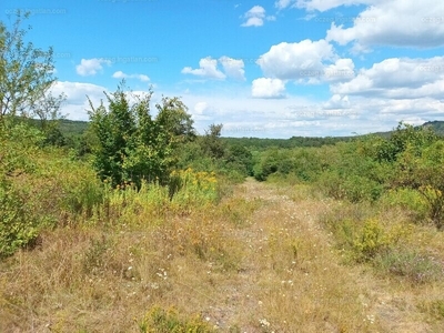 Eladó lakóövezeti telek - Zalaszántó, Zala megye