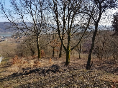 Eladó üdülőövezeti telek - Nagymaros, Pest megye