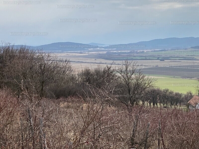 Eladó üdülőövezeti telek - Szentbékkálla, Veszprém megye